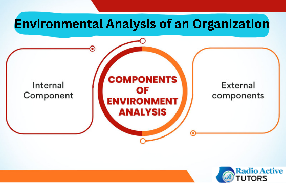 Environmental Analysis of an Organization