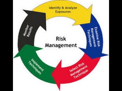 RISK MANAGEMENT IN THE SUPPLY CHAIN OF A RAPIDLY GROWING BUSINESS
